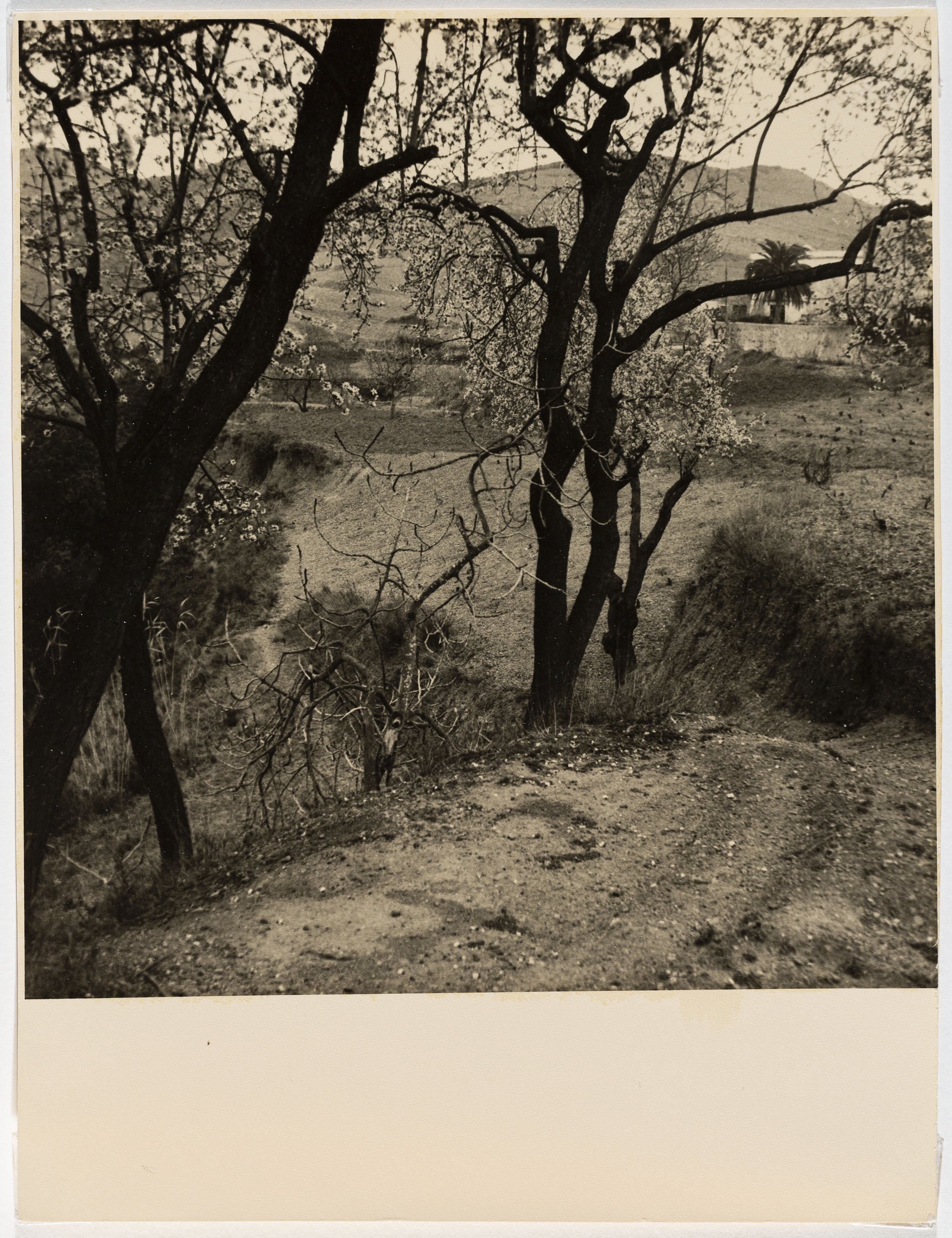 image for: Otho Lloyd - Paisatge - Cap a 1946