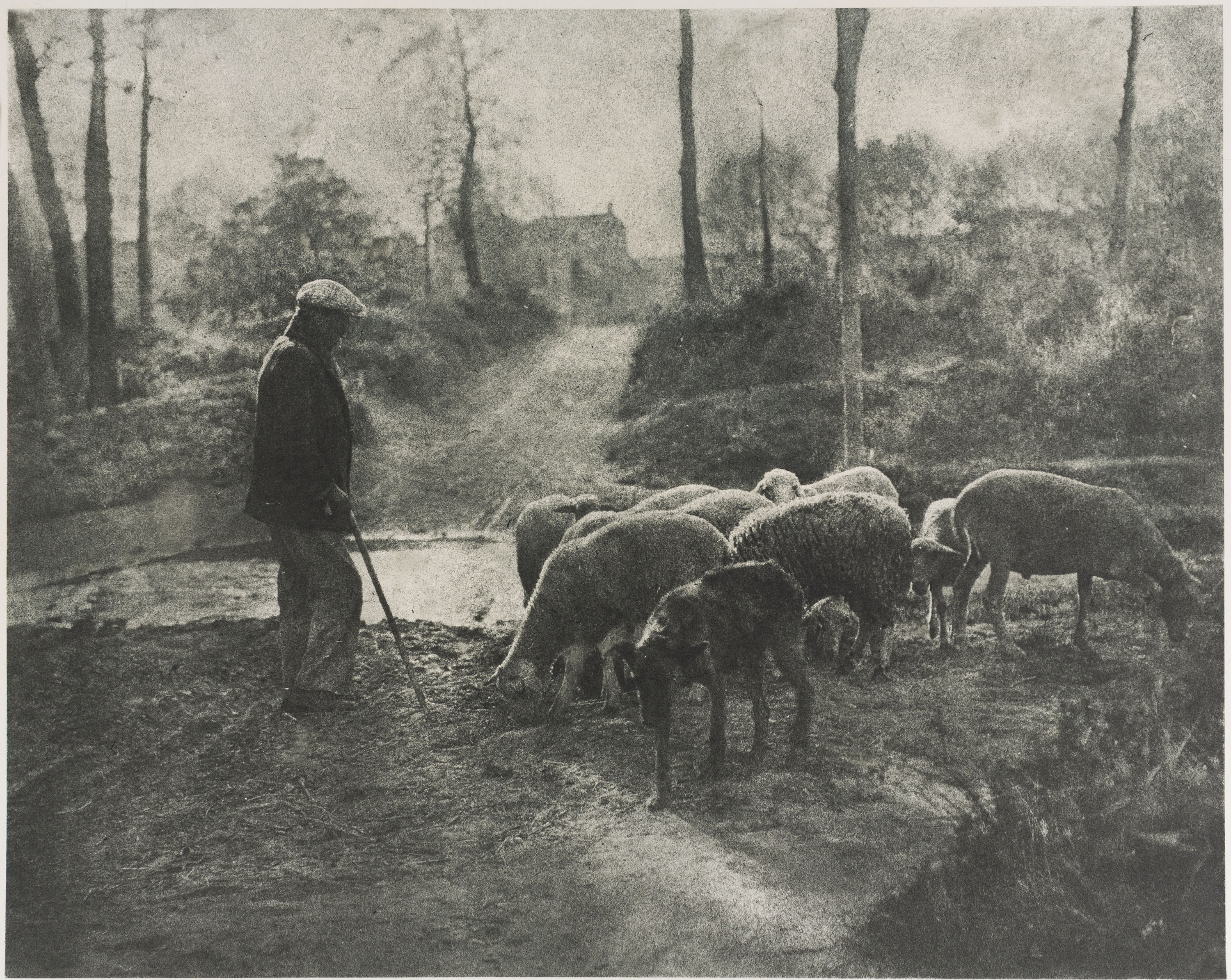 image for: Josep Maria Casals i Ariet - Pastor amb ramat de bens - No datat