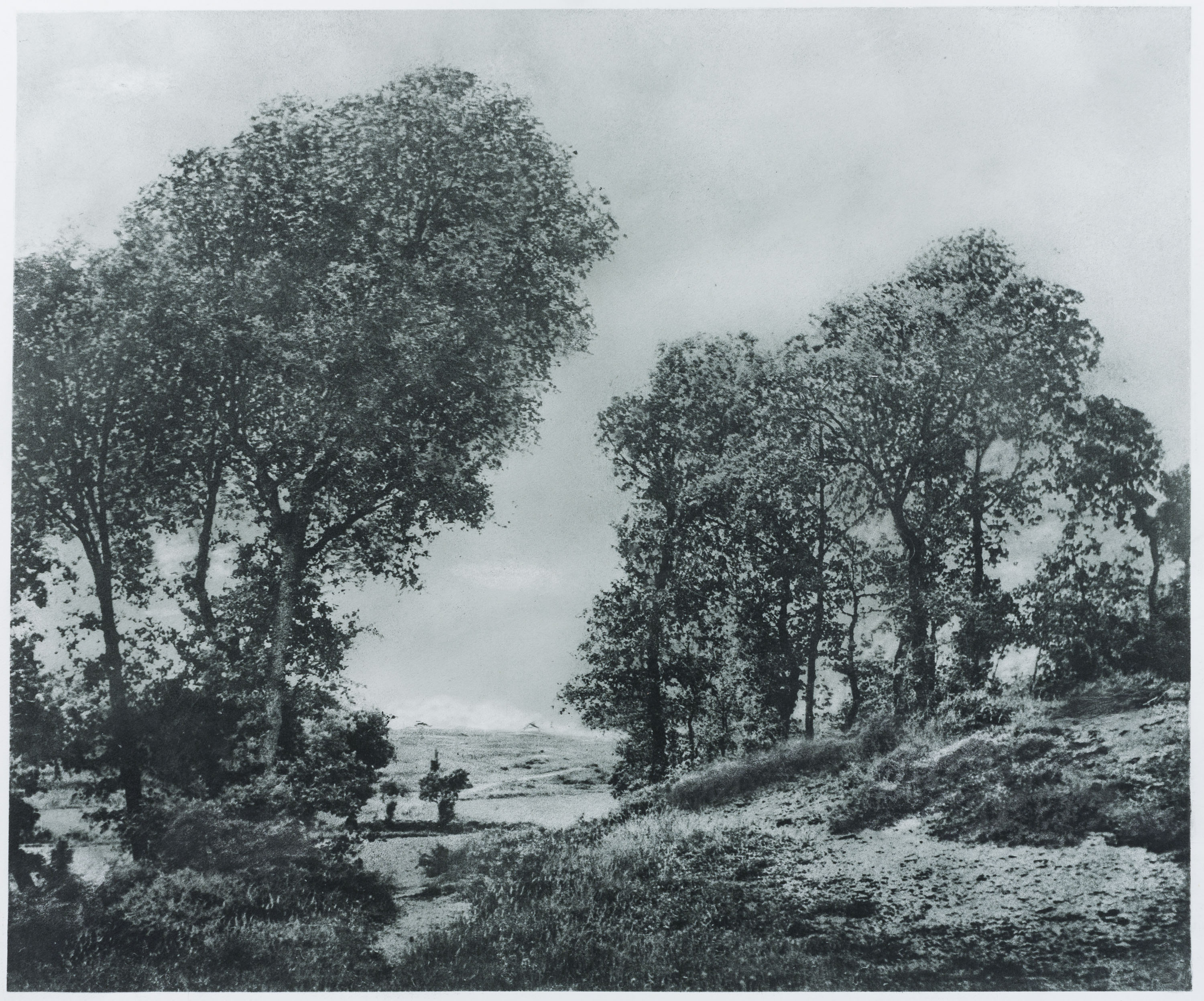 image for: Josep Maria Casals i Ariet - Paisatge - No datat