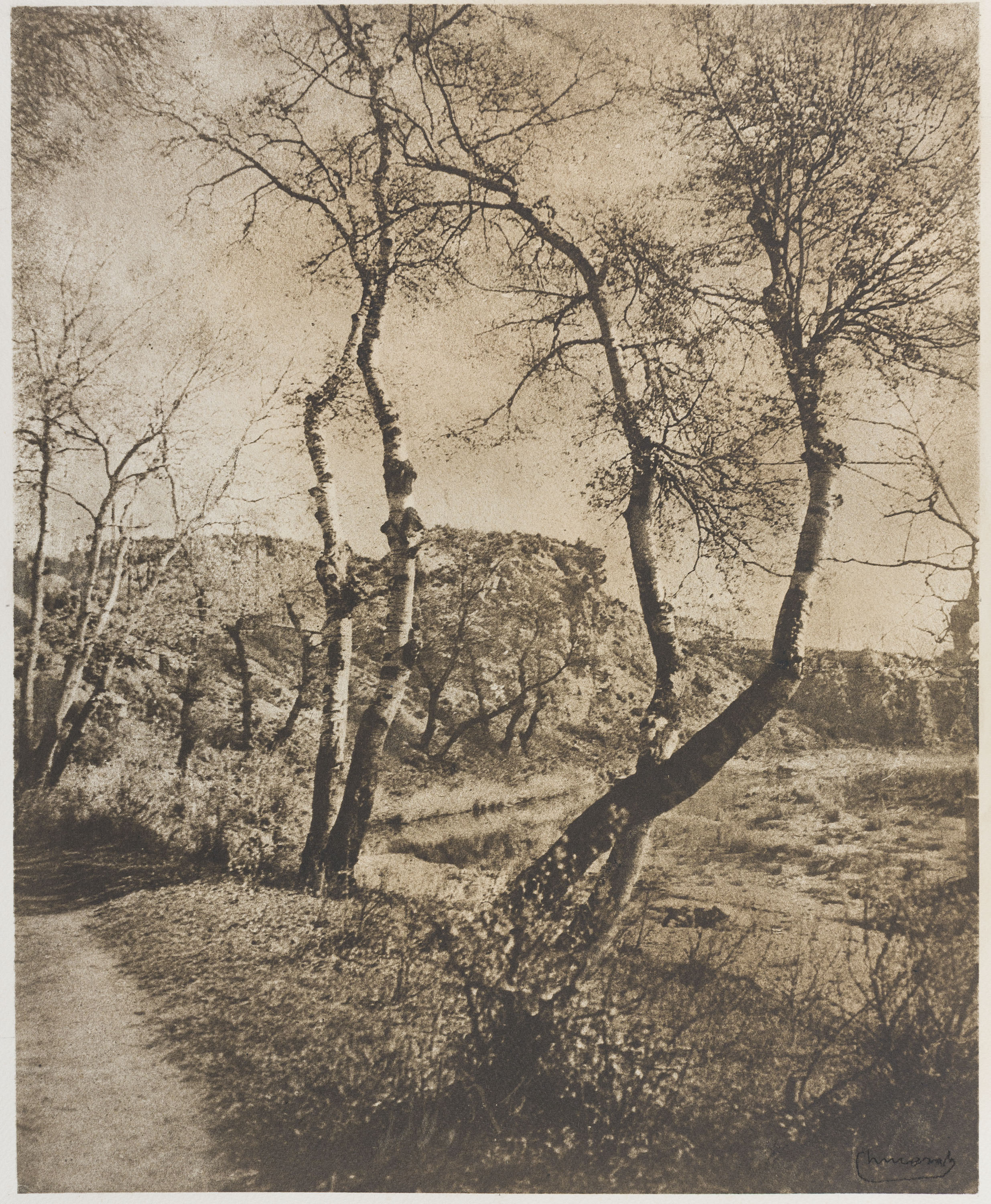 image for: Josep Maria Casals i Ariet - Paisatge - No datat