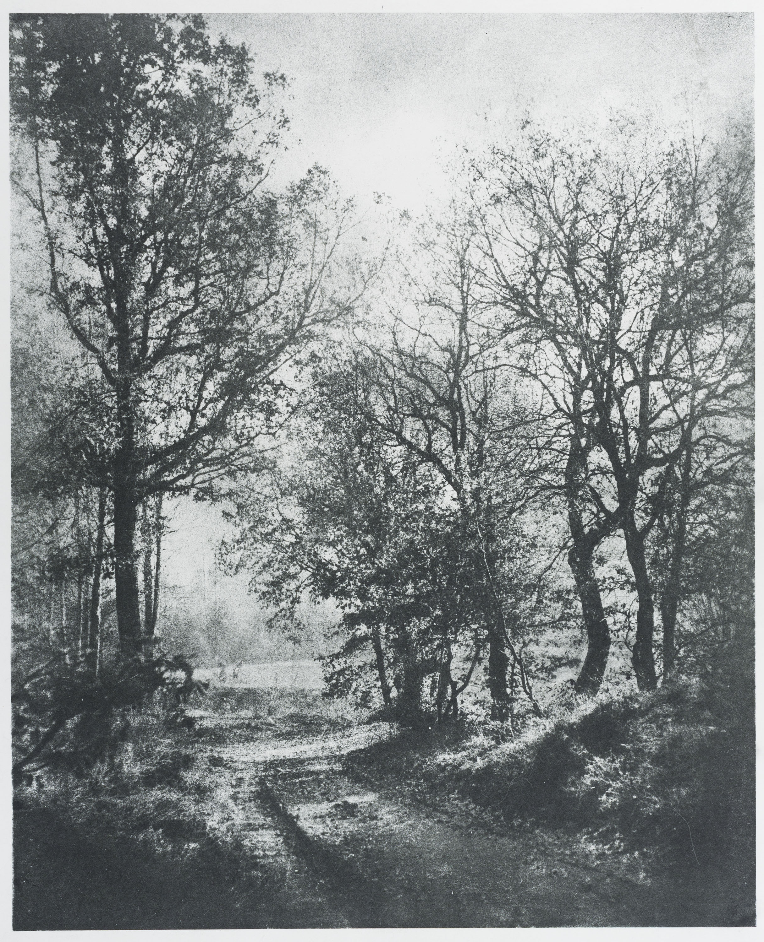 image for: Josep Maria Casals i Ariet - Paisatge - No datat