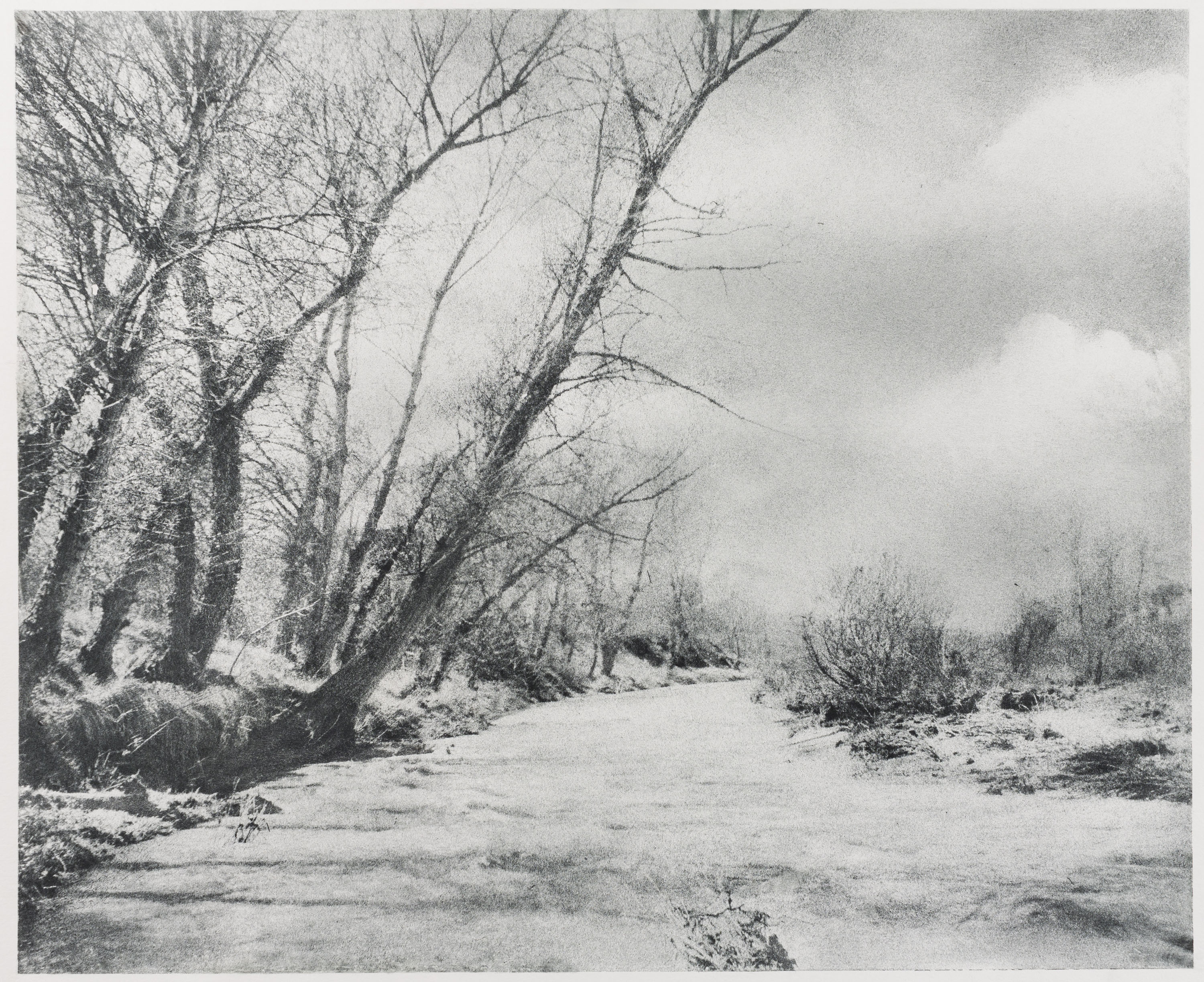 image for: Josep Maria Casals i Ariet - Paisatge - No datat