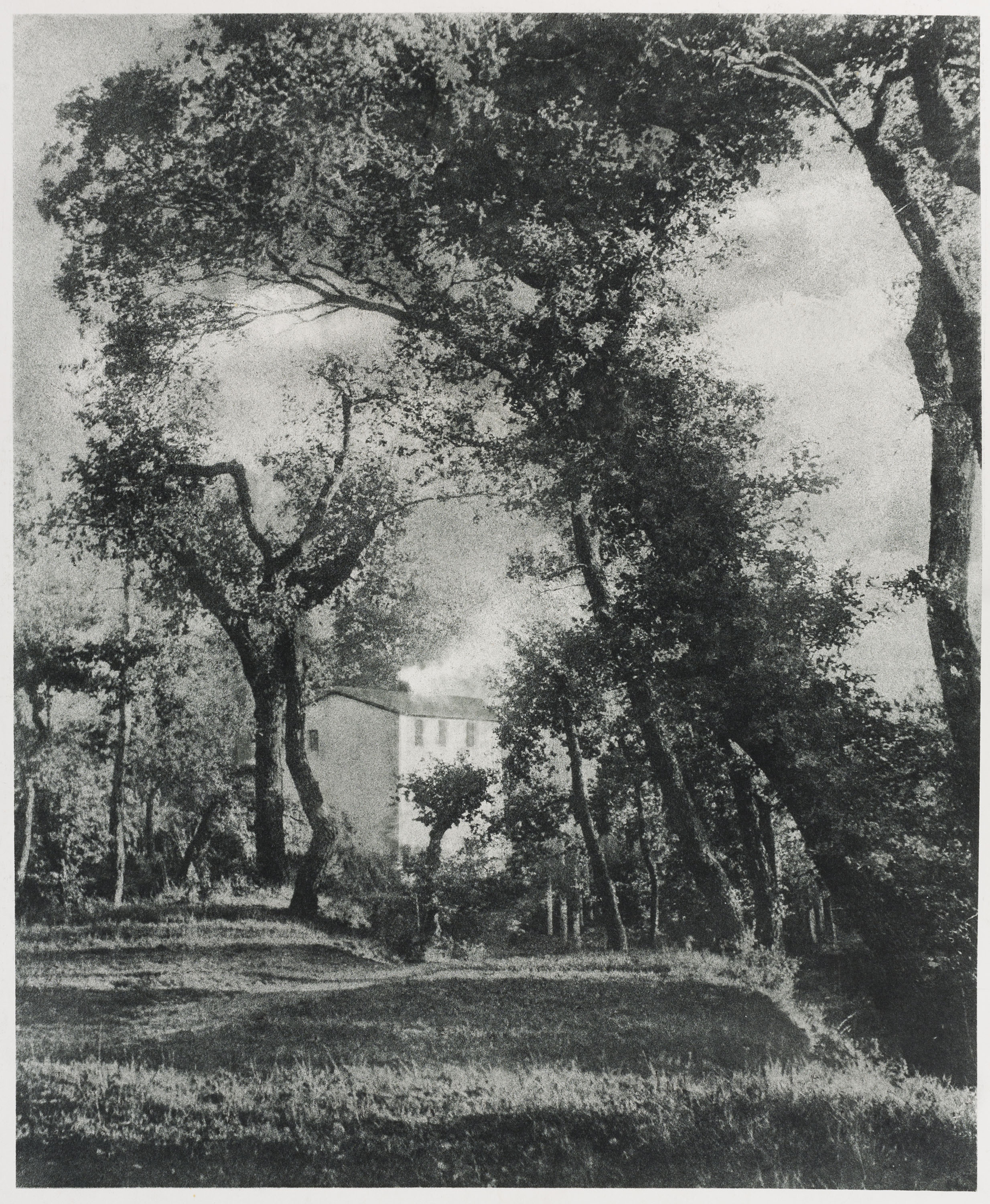 image for: Josep Maria Casals i Ariet - Paisatge - No datat