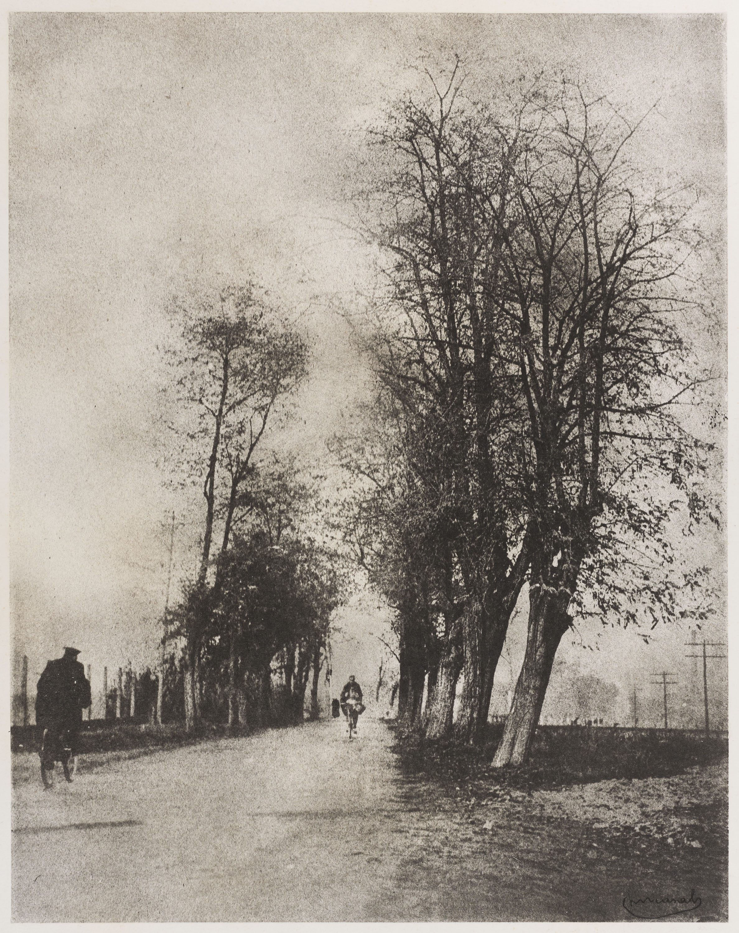 image for: Josep Maria Casals i Ariet - Paisatge - No datat