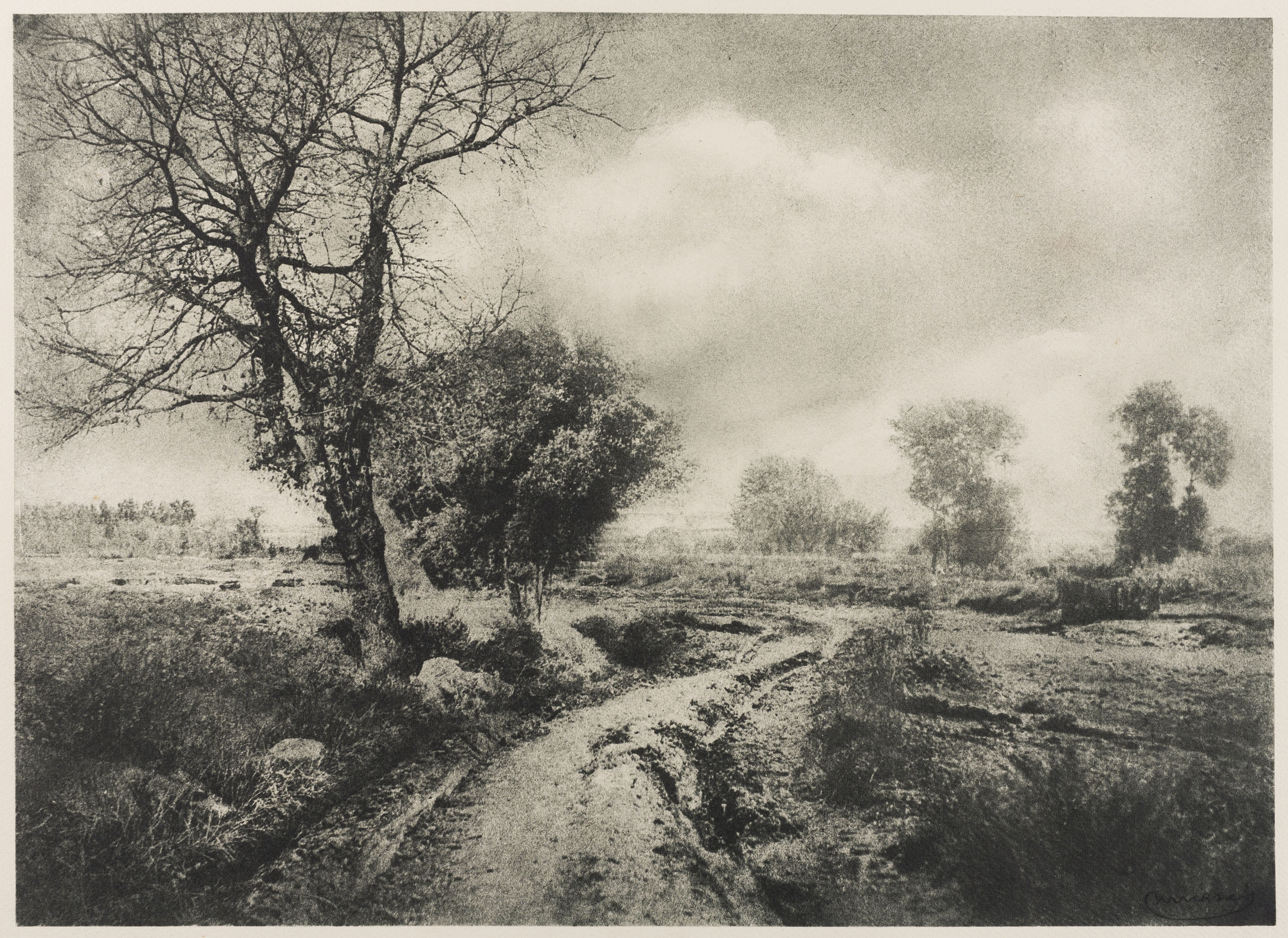 image for: Josep Maria Casals i Ariet - Paisatge - No datat