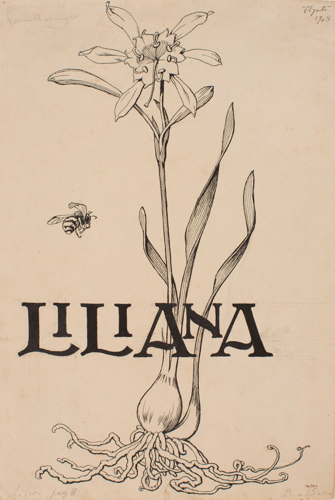 Liliana. El món fantàstic d&#039;Apel·les Mestres