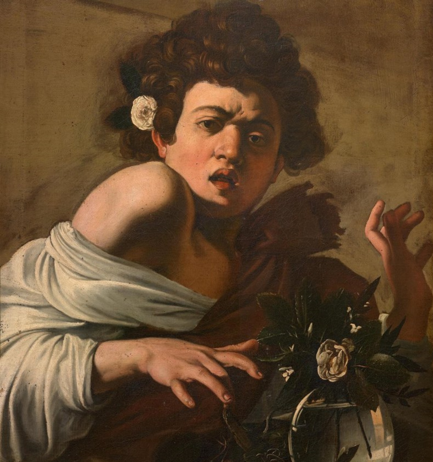 Michelangelo Merisi, «Caravaggio». Noi mossegat per un llangardaix,1594