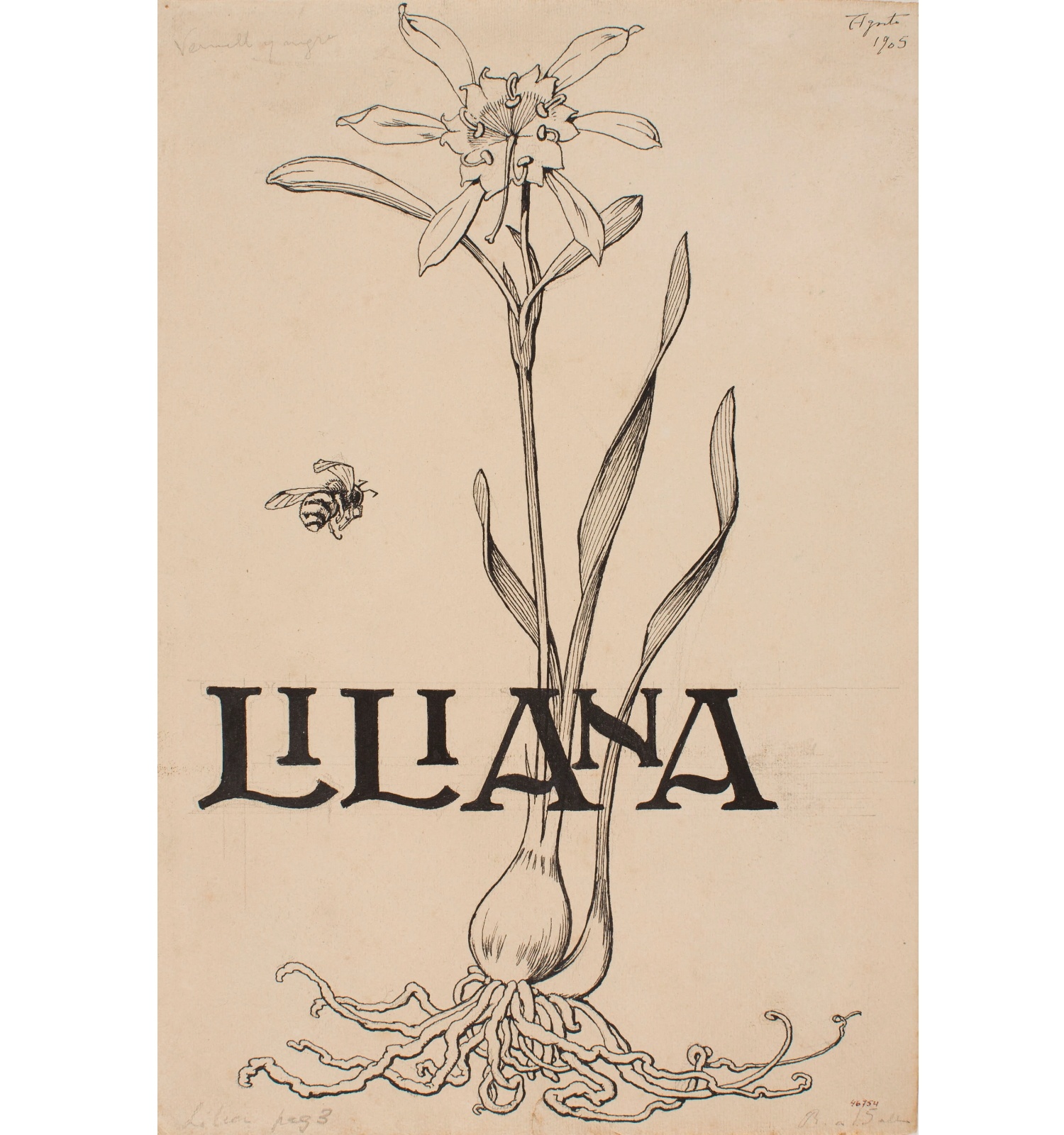 Lliri de mar i abella. Il·lustració de la portada per al poema «Liliana» d&#039;Apel·les Mestres