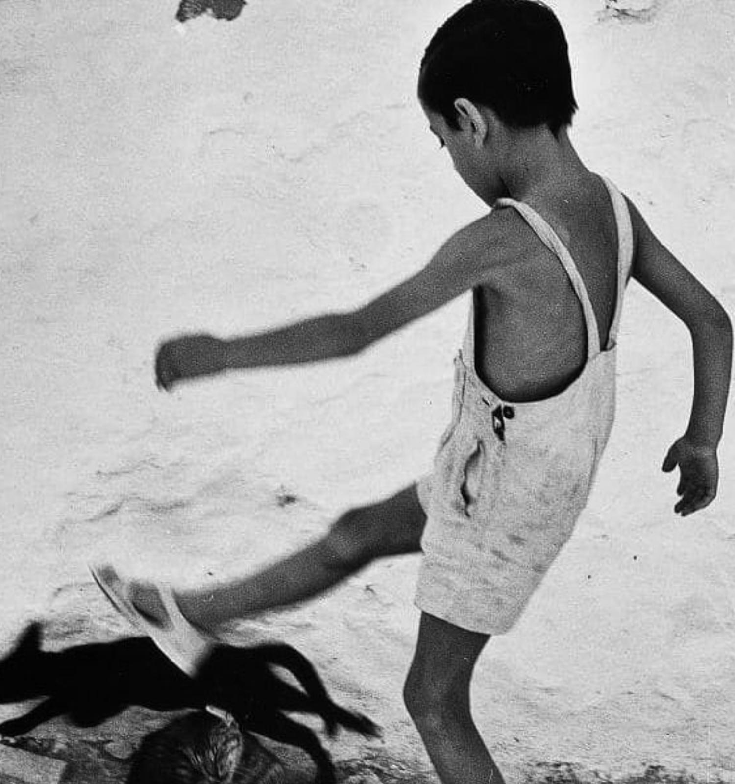 Oriol Maspons