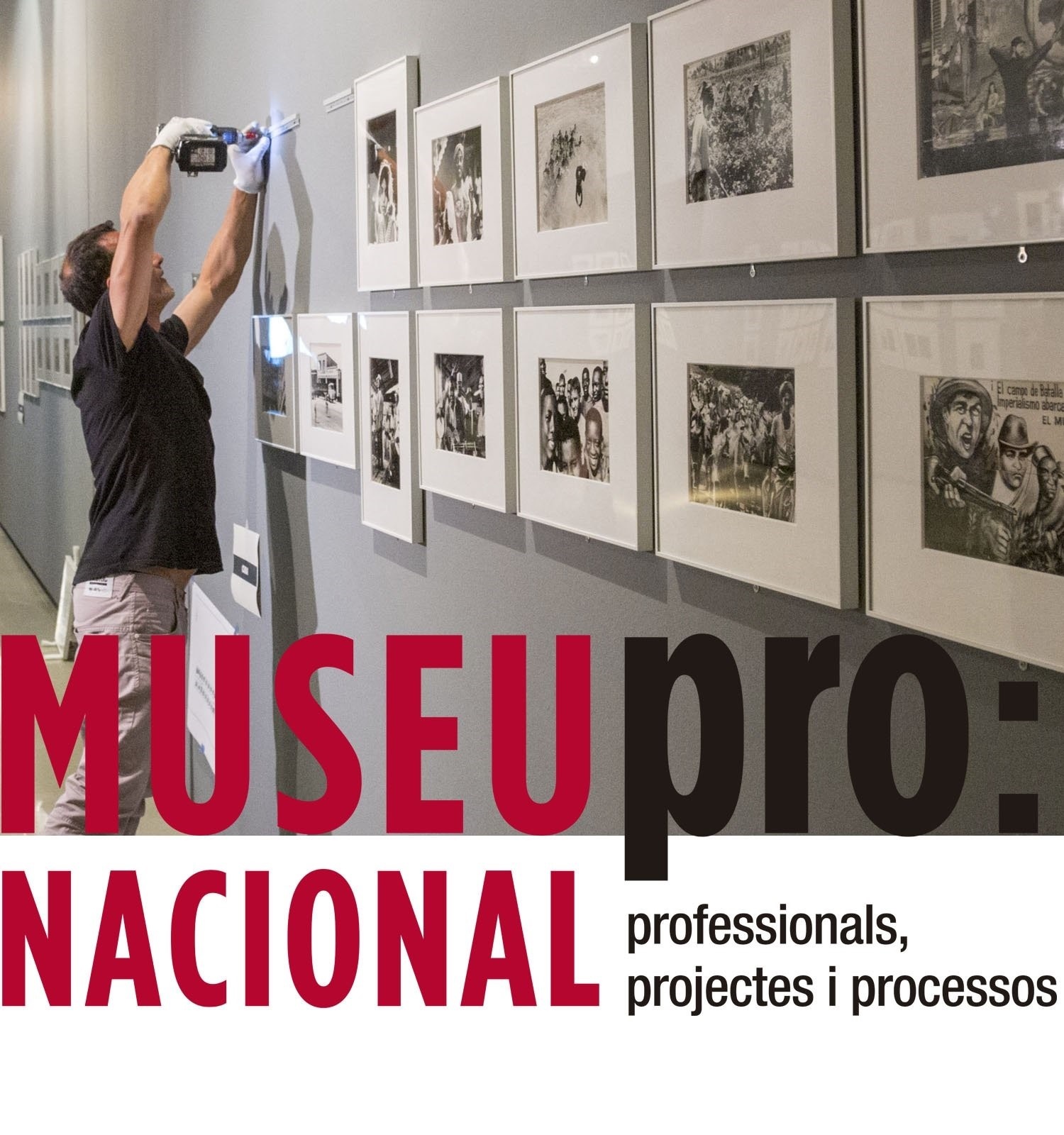 Museu Nacional Pro Museu Nacional Pro