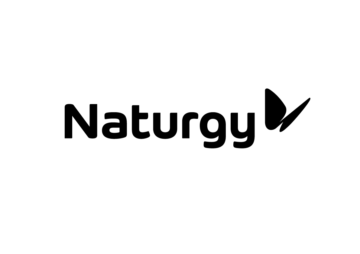 Logo Naturgy