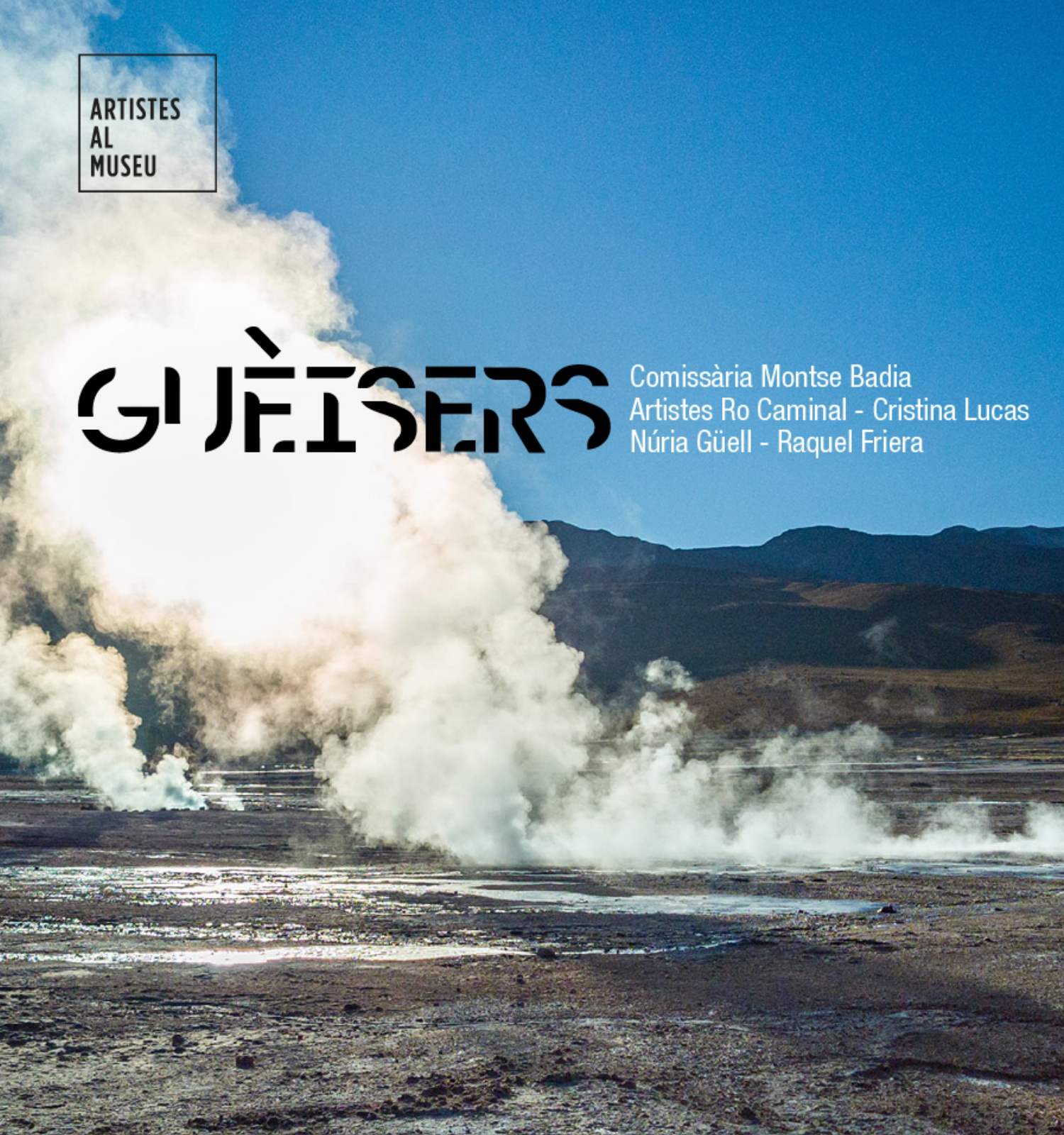 Projecte Guèisers