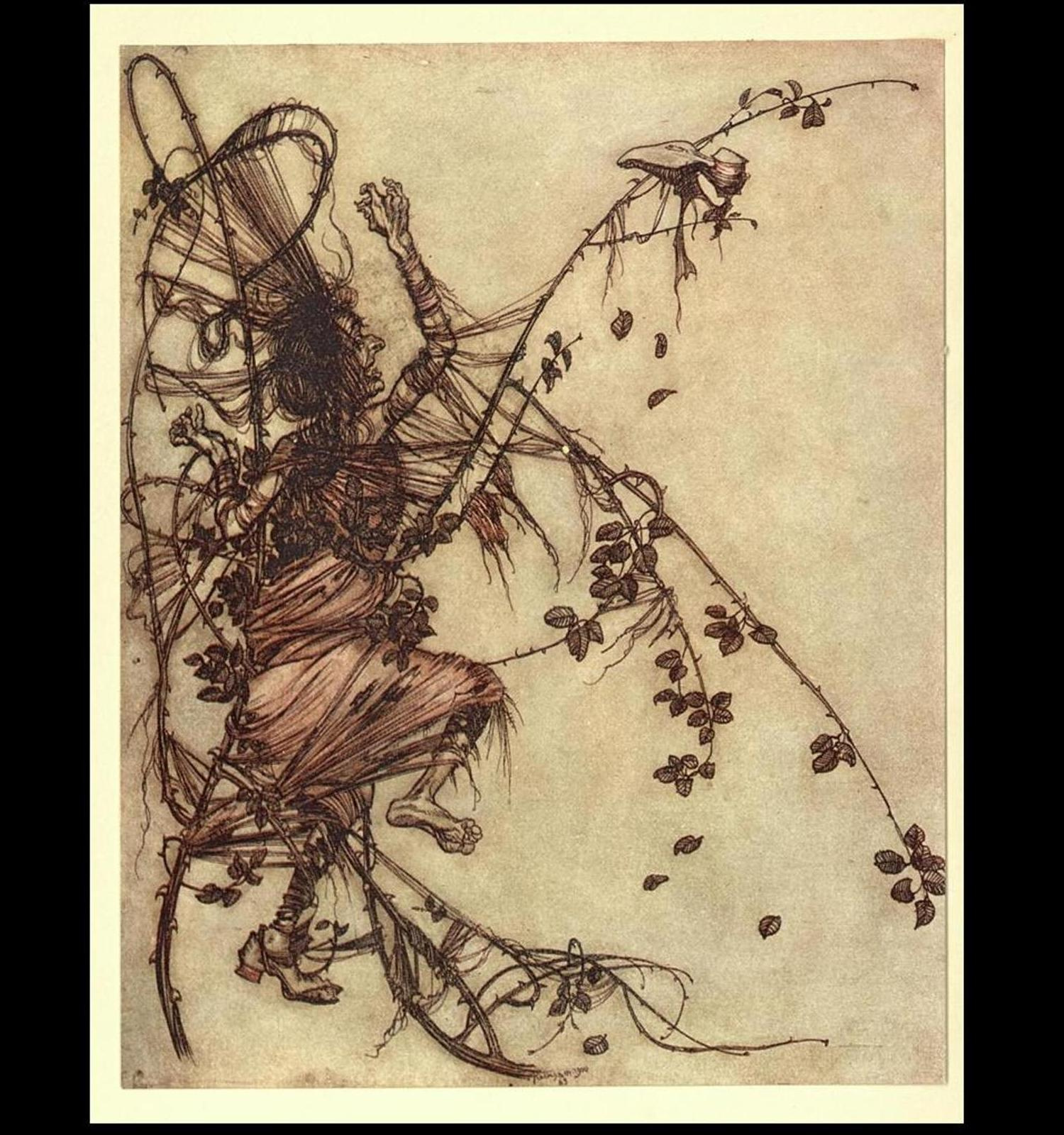 51 Arthur Rackham