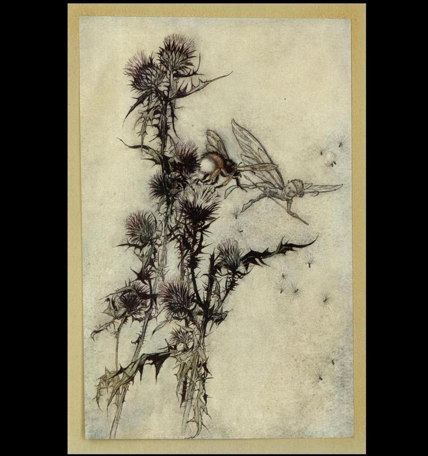 58 Arthur Rackham