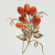 image for: Joieria Roca - Fermall - Anterior a 1932 [1]
