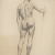 image for: Segundo Matilla - Nu masculí - Novembre de 1896