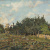 image for: Casimiro Sainz - Hort - Cap a 1879-1880
