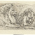 image for: Agapit Vallmitjana Abarca - Estudi de lleons - Cap a 1880-1890