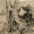 image for: Antoni Fabrés - Racó de bosc - Cap a 1888-1894