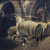 image for: Tomàs Moragas - Celler - 1871
