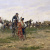 image for: Joaquim Agrassot - A la fira - Cap a 1898