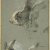 image for: Baldomer Galofre - Estudi de conills - Cap a 1884-1886
