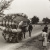 image for: Oriol Maspons - Sense títol (La Manxa. Fotografia per al llibre «Tierra de Olivos», d&#039;Antonio Ferres) - 1961