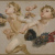 image for: Antoni Caba - Estudi de Zèfir per a «El triomf del Dia sobre la Nit precedit de l&#039;Aurora» - Cap a 1882