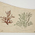 image for: Xavier Nogués - Motius vegetals. Estudi preparatori per a la decoració de vidre esmaltat - Cap a 1924-1928