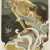 image for: Adolf Hohenstein - Chiozza e Turchi - 1899