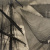 image for: Joan Porqueras - Velamen - 1931