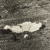 image for: Ton Sirera - Escorça d&#039;abres - 1959