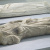 image for: Pere Moragues - Figura jacent d&#039;un clergue (abat Arnau de Biure [?], mort el 1351) - Cap a 1385-1388