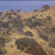 image for: Nicolau Raurich - Terrers (Montgat)  - Cap a 1906