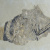 image for: Mestre de Boí - Vestigis de quadrúpede de Sant Joan de Boí - Cap a 1100