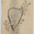 image for: Josep Pascó - Motius vegetals i arpa - 1893