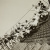 image for: COMPAL. Barcelona - Els Ballets Russos a la teulada del Gran Teatre del Liceu (Barcelona) - Cap a 1935