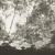 image for: Florenci Vilaseca - Reunió al bosc - No datat