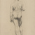 image for: Isidre Riera - Nu masculí - Cap a 1895-1900