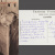 image for: Àngel Toldrà - Sucesos de Barcelona (100 postals sobre els incendis de la Setmana Tràgica) - Barcelona, 1909 [3]