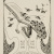 image for: Mathilde Ade - Maurice Maeterlinck ex-libris - Cap a 1902