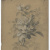 image for: Nicolau Planella - Estudi de flors i fulles - 16 de juny de 1829