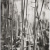 image for: Marcel Giró - Sem título_012 - Cap a 1950