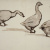 image for: Modest Urgell - Oques - Cap a 1861-1888