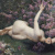 image for: Genís Capdevila - Primavera - Cap a 1910