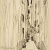 image for: Dionís Baixeras - Carrer de les Donzelles - Cap a 1908