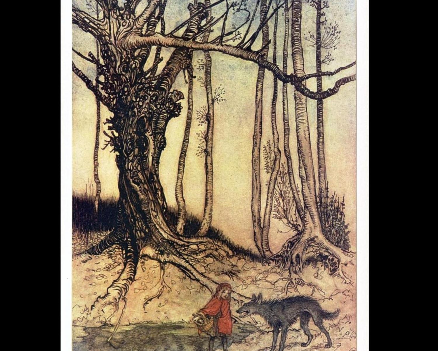 50 Arthur Rackham