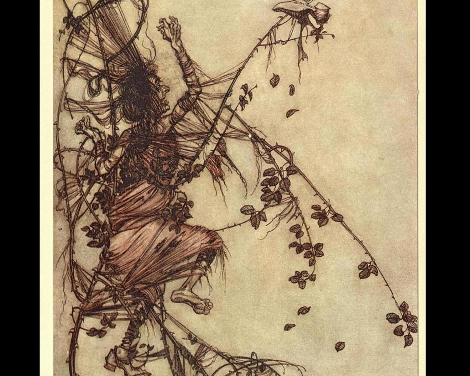51 Arthur Rackham