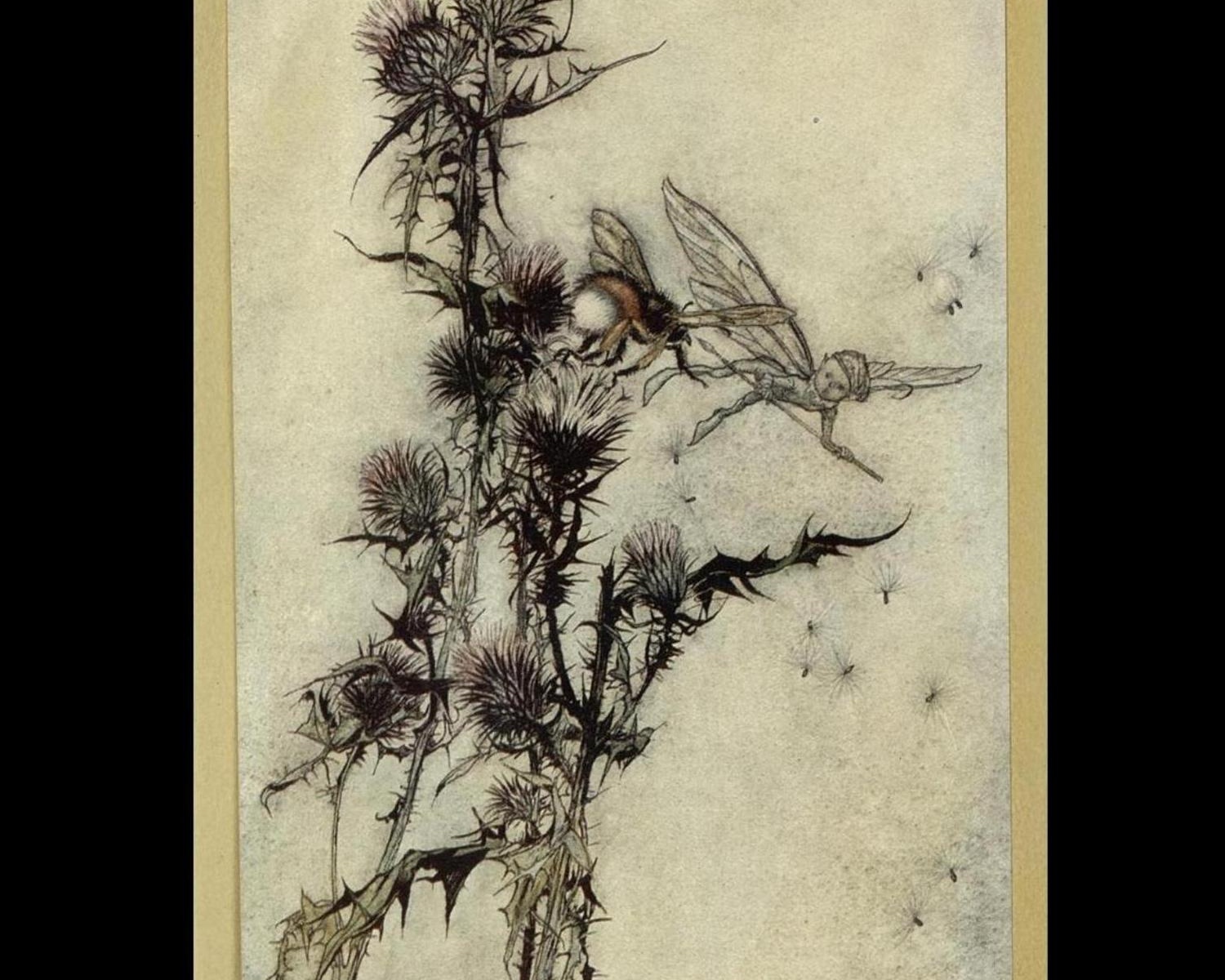 58 Arthur Rackham