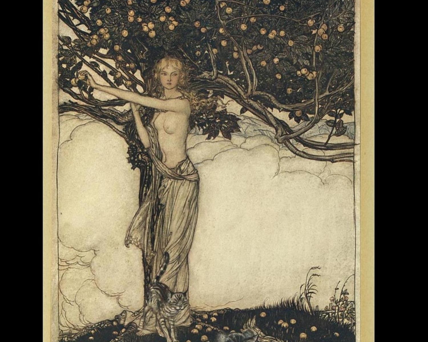 67 Arthur Rackham 67 Arthur Rackham